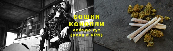 сатива Нягань