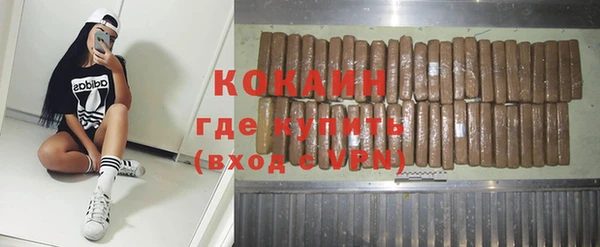 ПСИЛОЦИБИНОВЫЕ ГРИБЫ Няндома