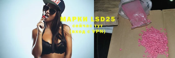 ПСИЛОЦИБИНОВЫЕ ГРИБЫ Няндома