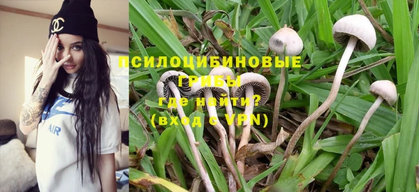 ПСИЛОЦИБИНОВЫЕ ГРИБЫ Няндома