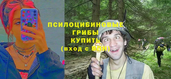сатива Нягань