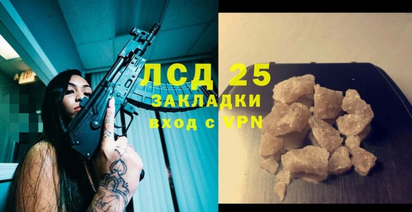 ПСИЛОЦИБИНОВЫЕ ГРИБЫ Няндома