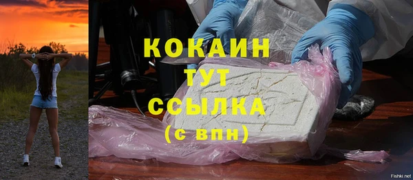 сатива Нягань