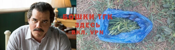 ПСИЛОЦИБИНОВЫЕ ГРИБЫ Няндома