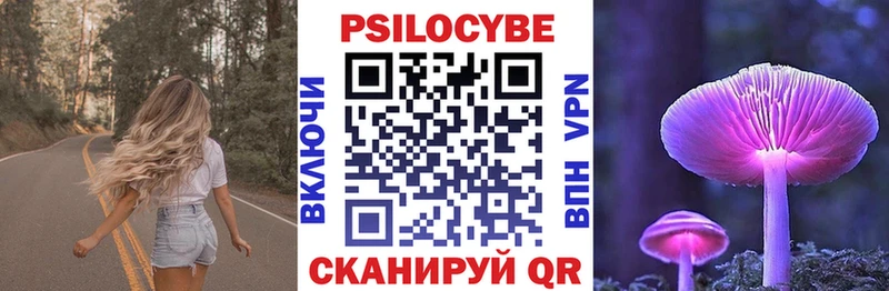 где купить наркоту  мега ссылки  Псилоцибиновые грибы MAGIC MUSHROOMS  Кыштым 