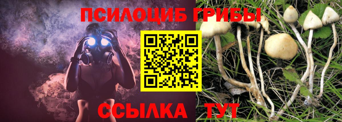 Псилоцибиновые грибы MAGIC MUSHROOMS  Галлюциногенные грибы GOLDEN TEACHER  Кыштым  Вход с VPN 